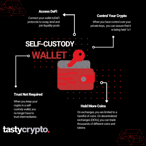 Custodial Wallets vs. Self-Custody Wallets – Which Crypto Wallet