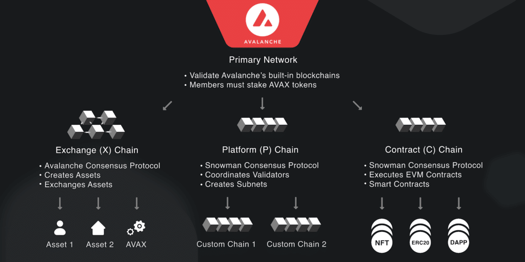 avalanche networks