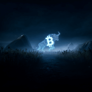 Bitcoin volatility bull